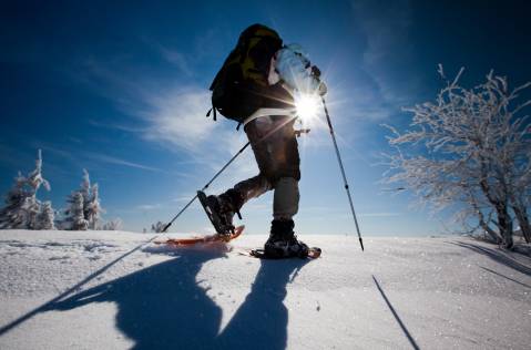 Convenzioni Escursioni ed Esperienze 	 	 	 	